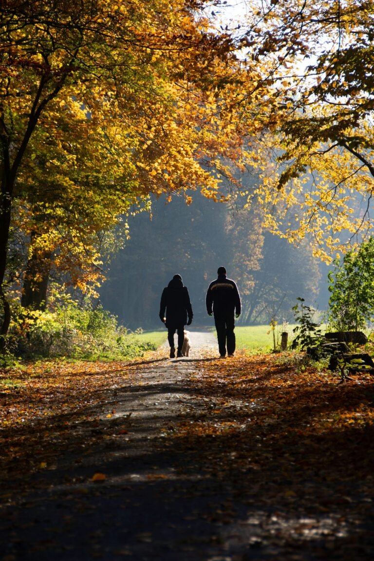Two people walking together on a tree-lined path