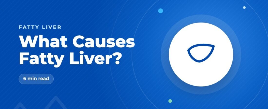 What Causes Fatty Liver? The Main Drivers