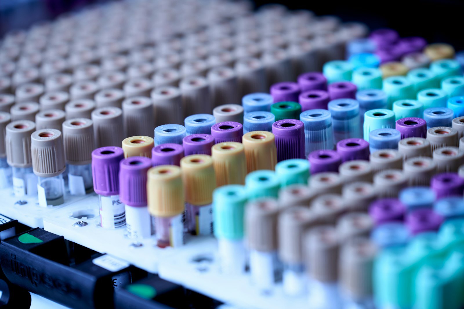 Rows of blood collection tubes in a laboratory